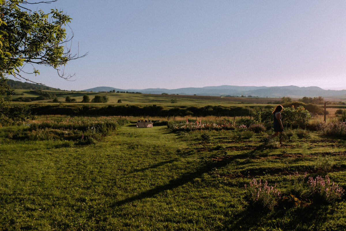 Kvetinová farma s výhľadom na Nízke Tatry